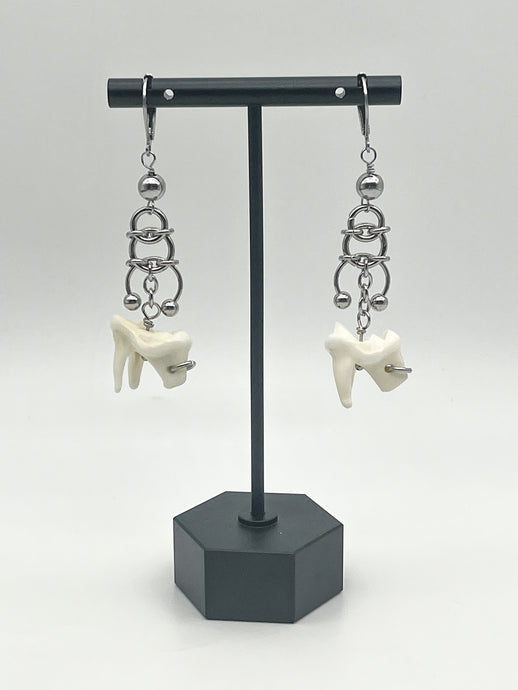 Coyote Molar Earrings