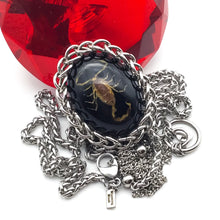 Load image into Gallery viewer, Scorpion Bolo Tie Preorder